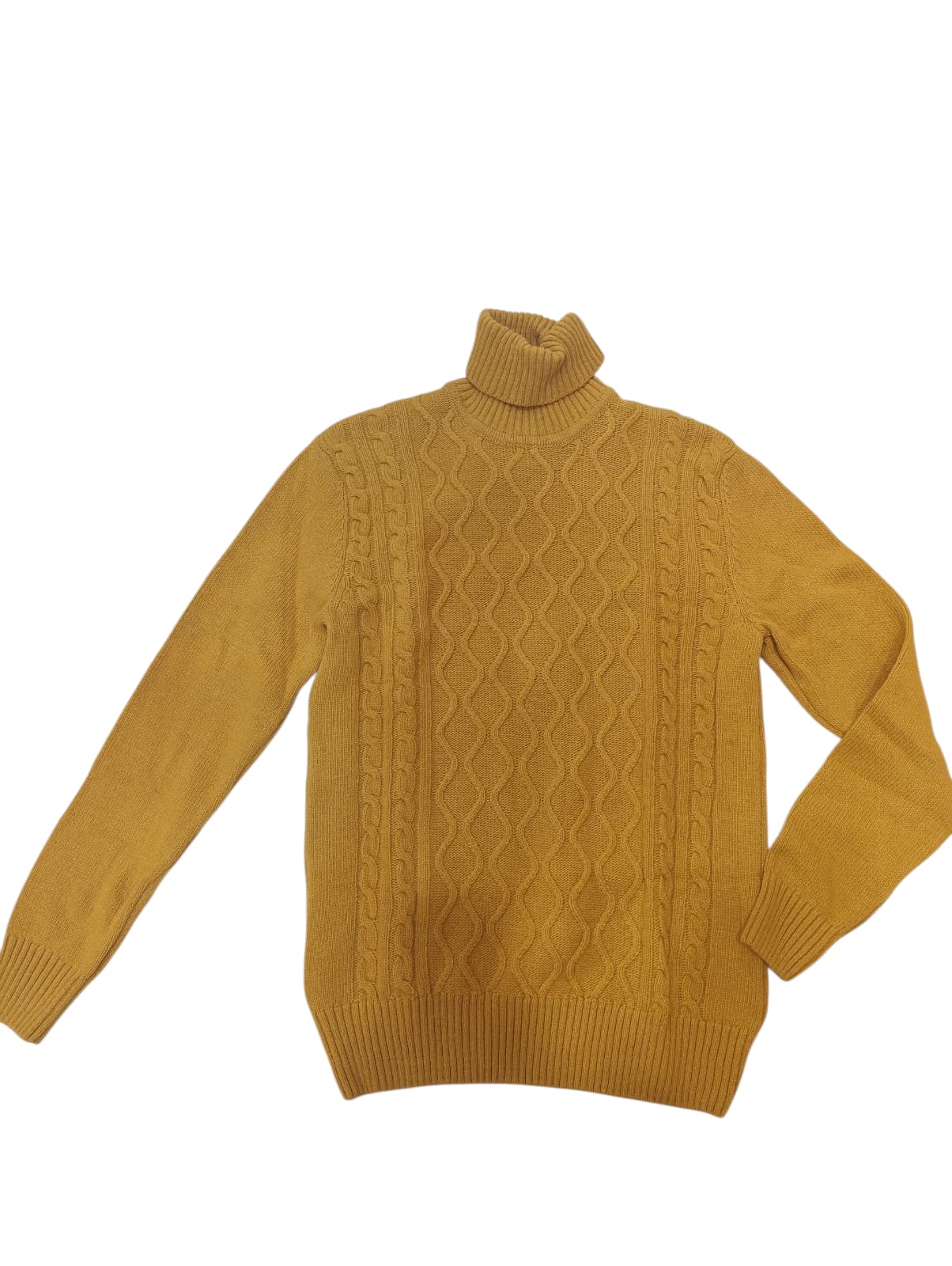 Maglione US POLO ASSN in dolcevita