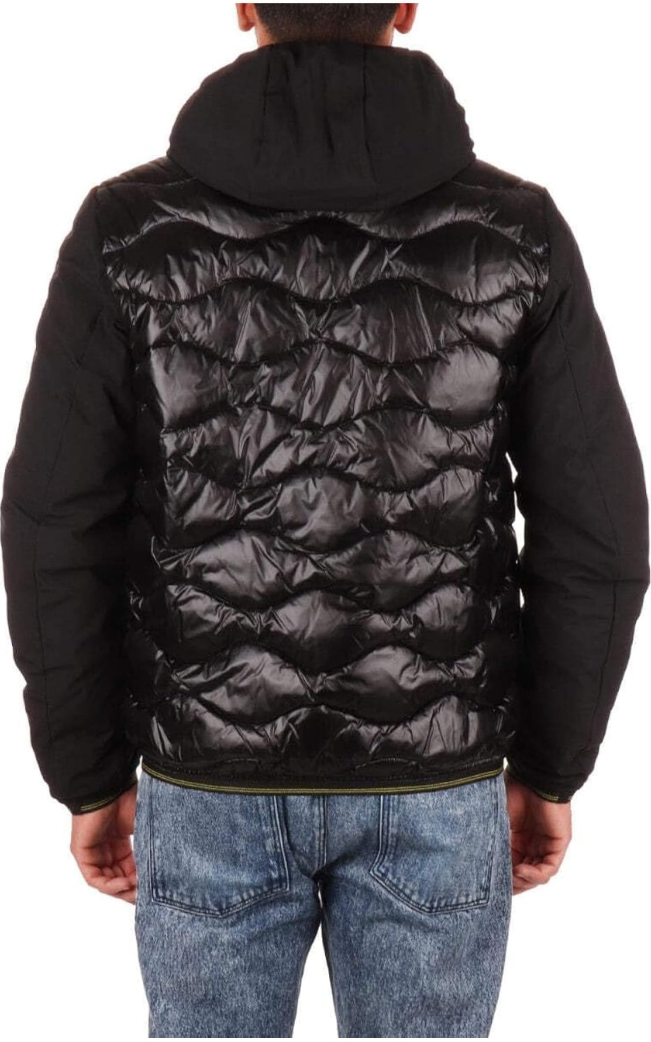 Piumino Blauer  Albert Uomo