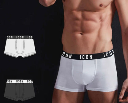 Boxer ICON jer.bier imu05