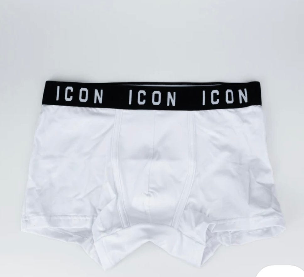 Boxer ICON jer.bier imu05