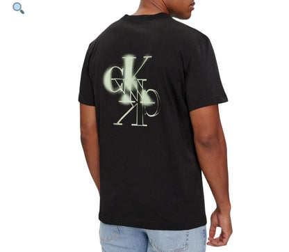 T-shirt CALVIN KLEIN con logo max di dietro